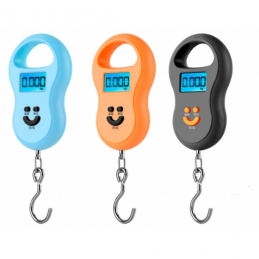 China Luggage scale/Fishing Scale company